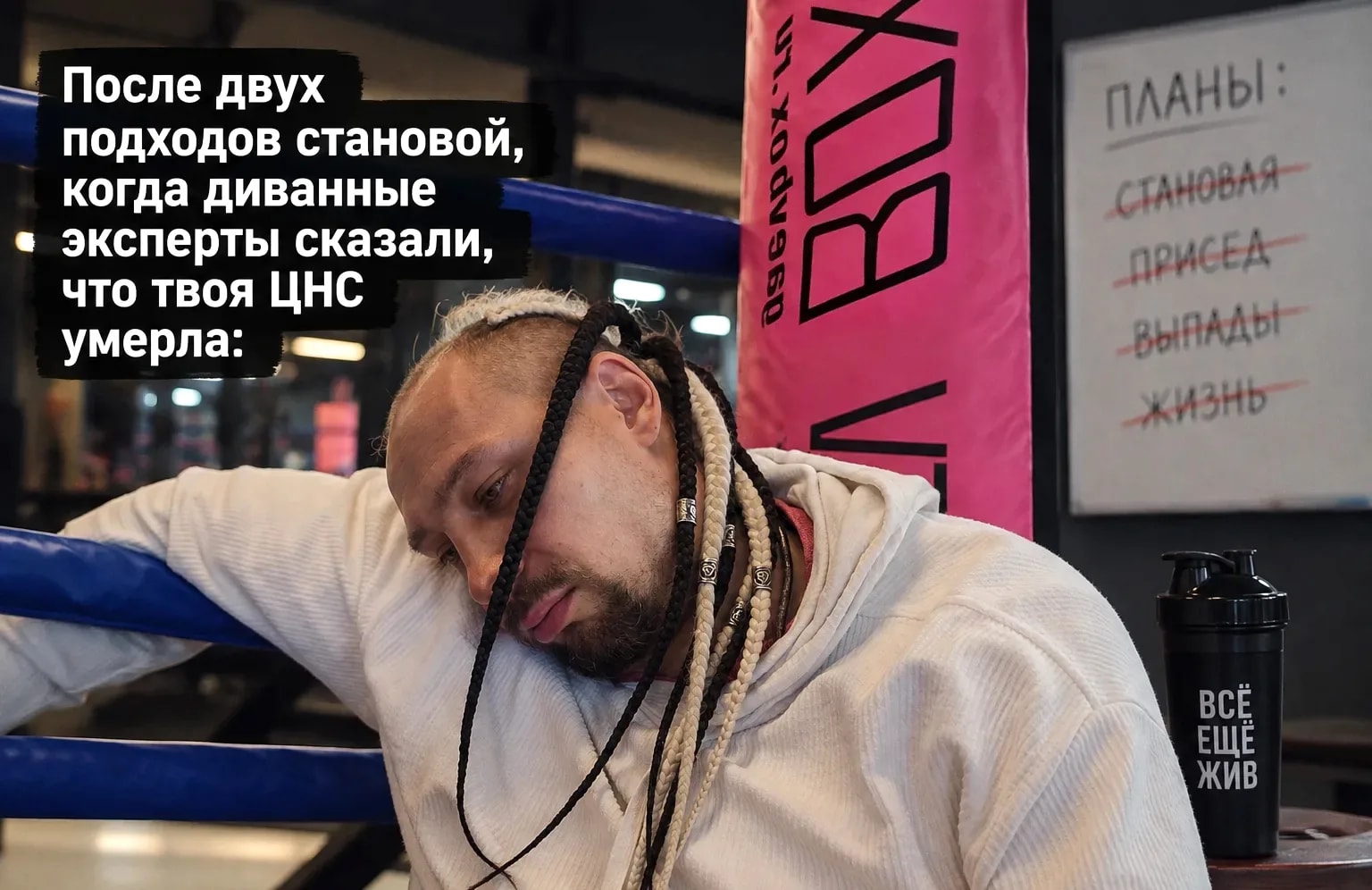 Миша